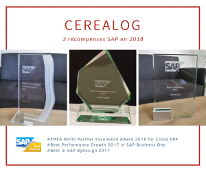 partenaire SAP